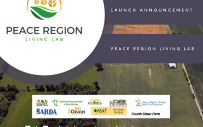 Peace Region Living Lab Announcement