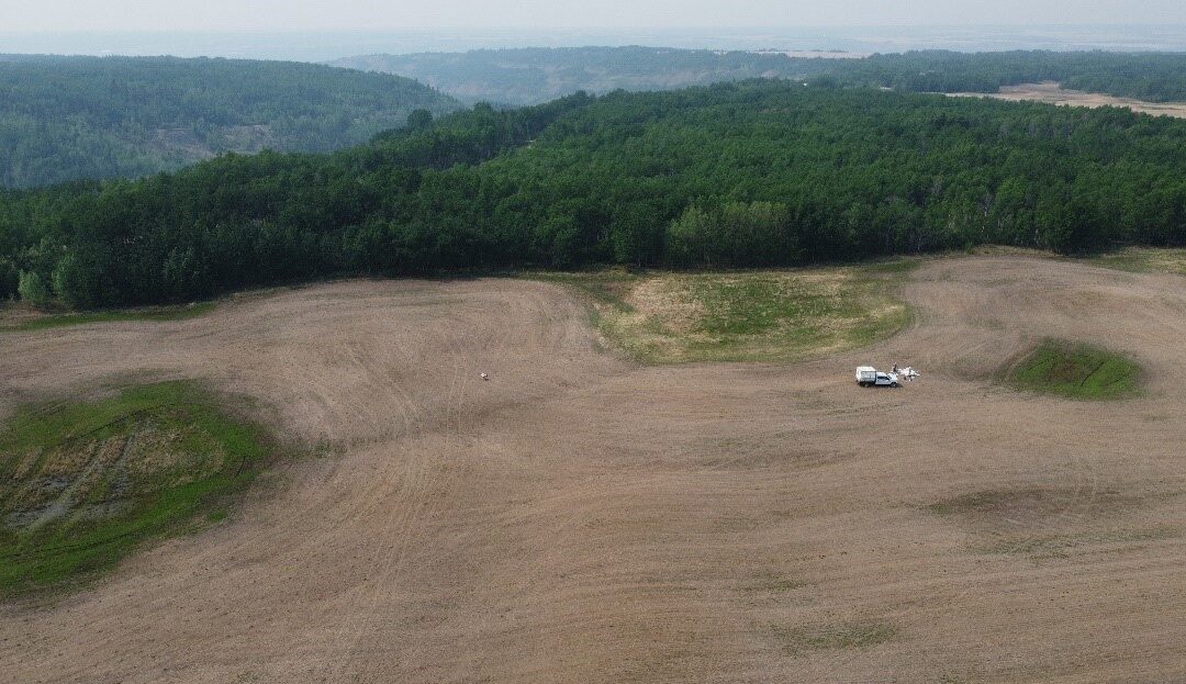 Partnerships Plant More Trees